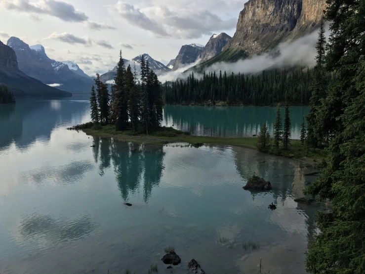 a large body of water with trees in it