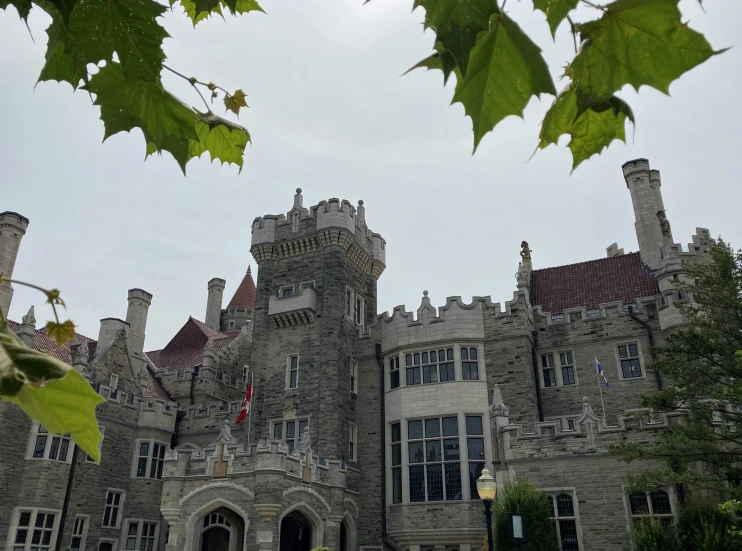 a castle like building with two towers and red roof