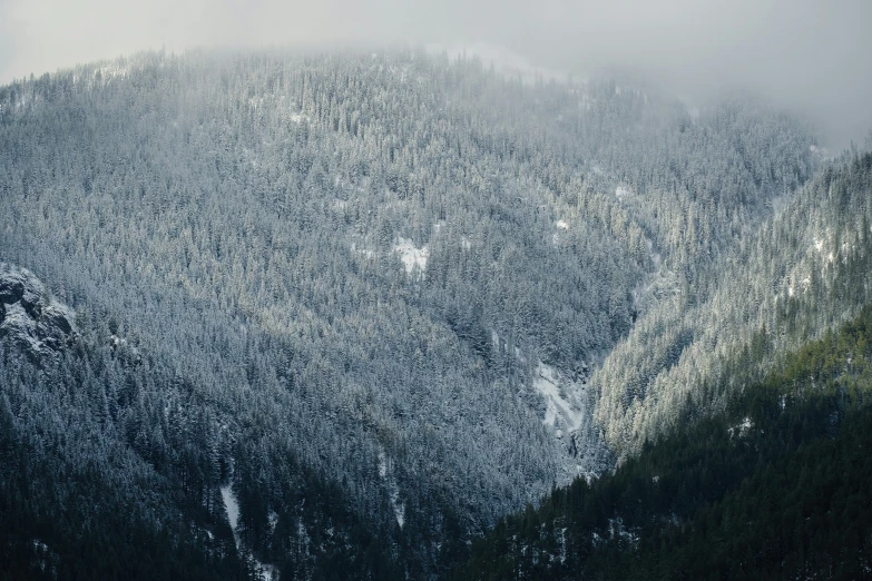 some green and gray mountains in the mist