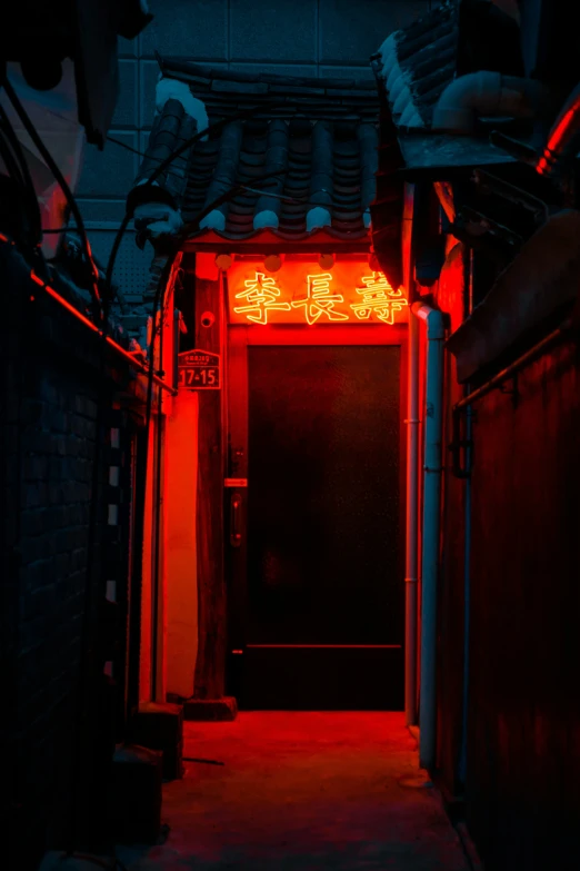 an image of chinese neon lights on a dark hallway