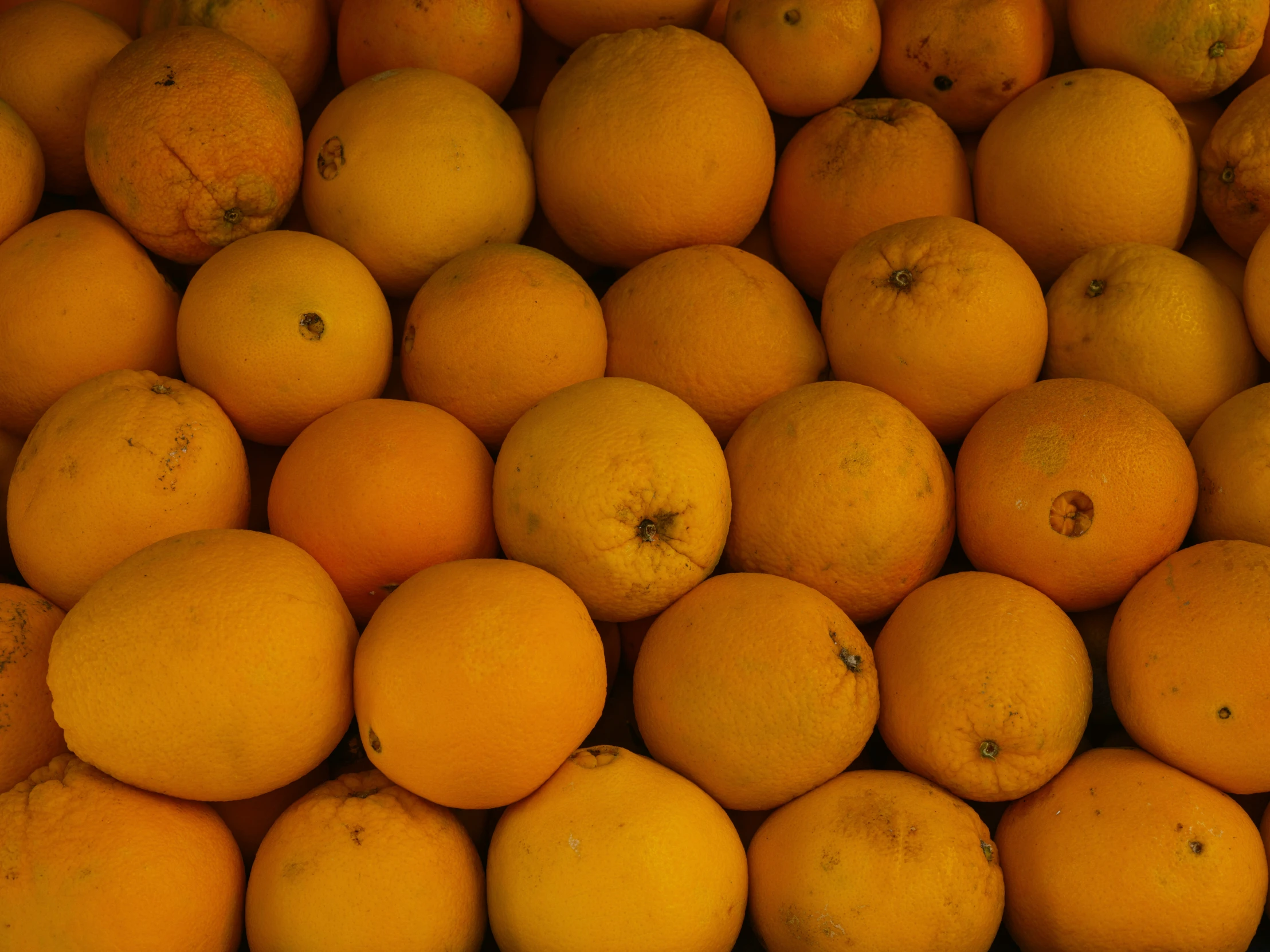 the pile of oranges are in the fruit bin