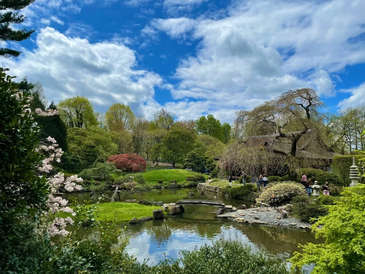 an open park is depicted in the background with trees