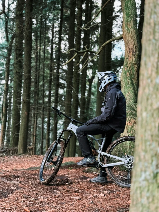 a man sitting in a forest near a tree