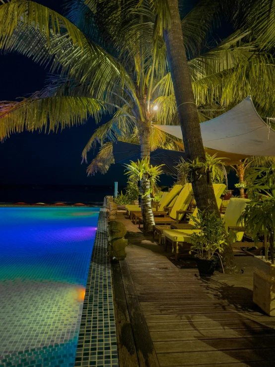 an outdoor swimming pool with palm trees at night