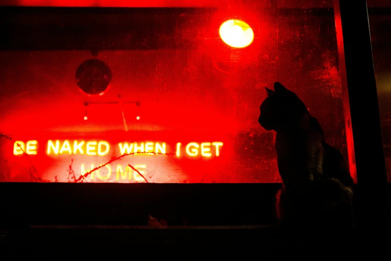 cat staring up at the back lit sign that says be  when i get wet