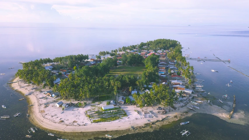 an island with boats docked in a bay and houses built on it