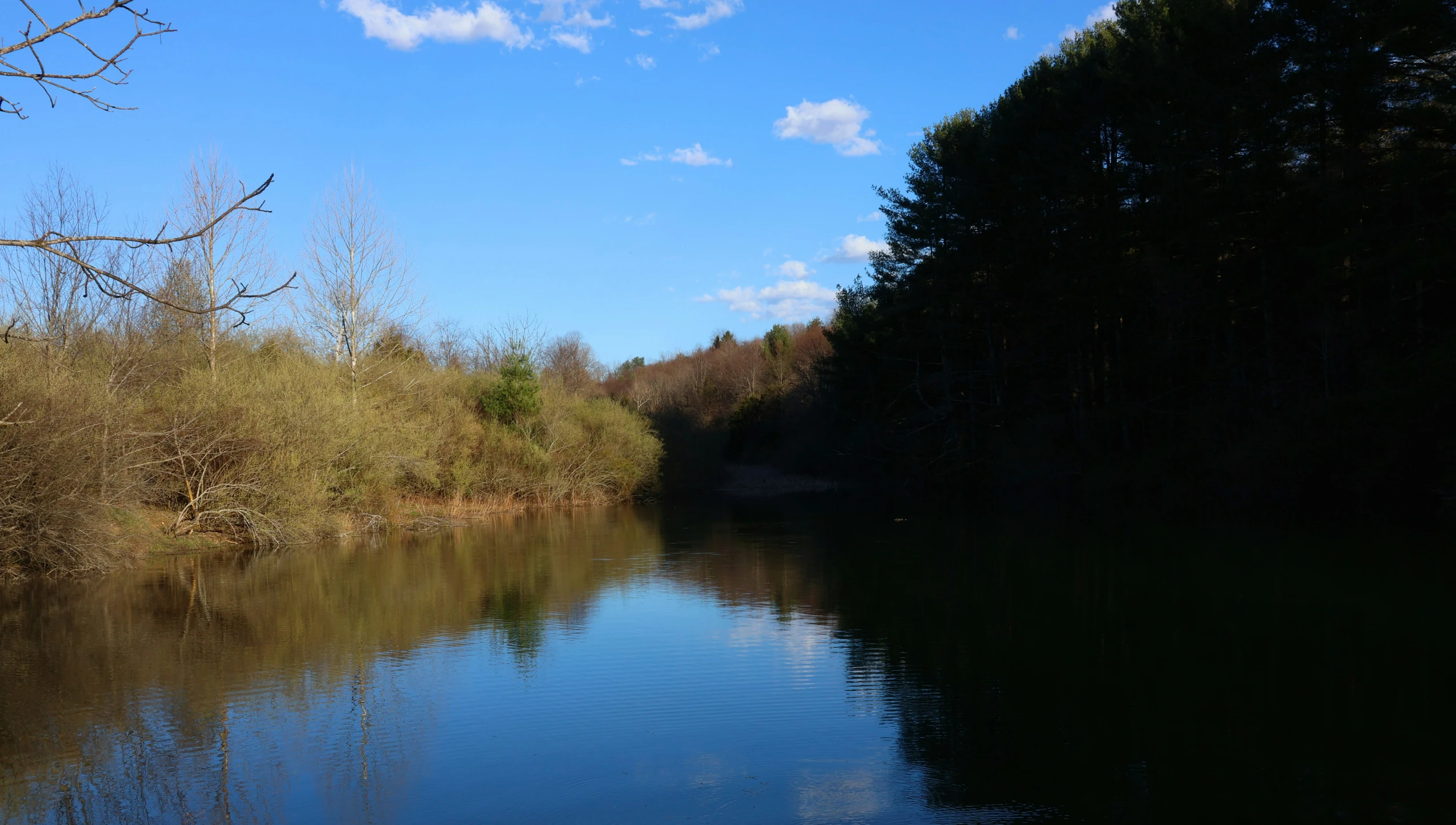 there are a few trees along this bank of water