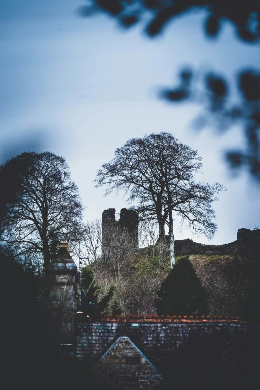 a castle rises from an area that houses buildings and trees