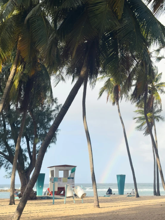 trees on a beach near some chairs and rainbow