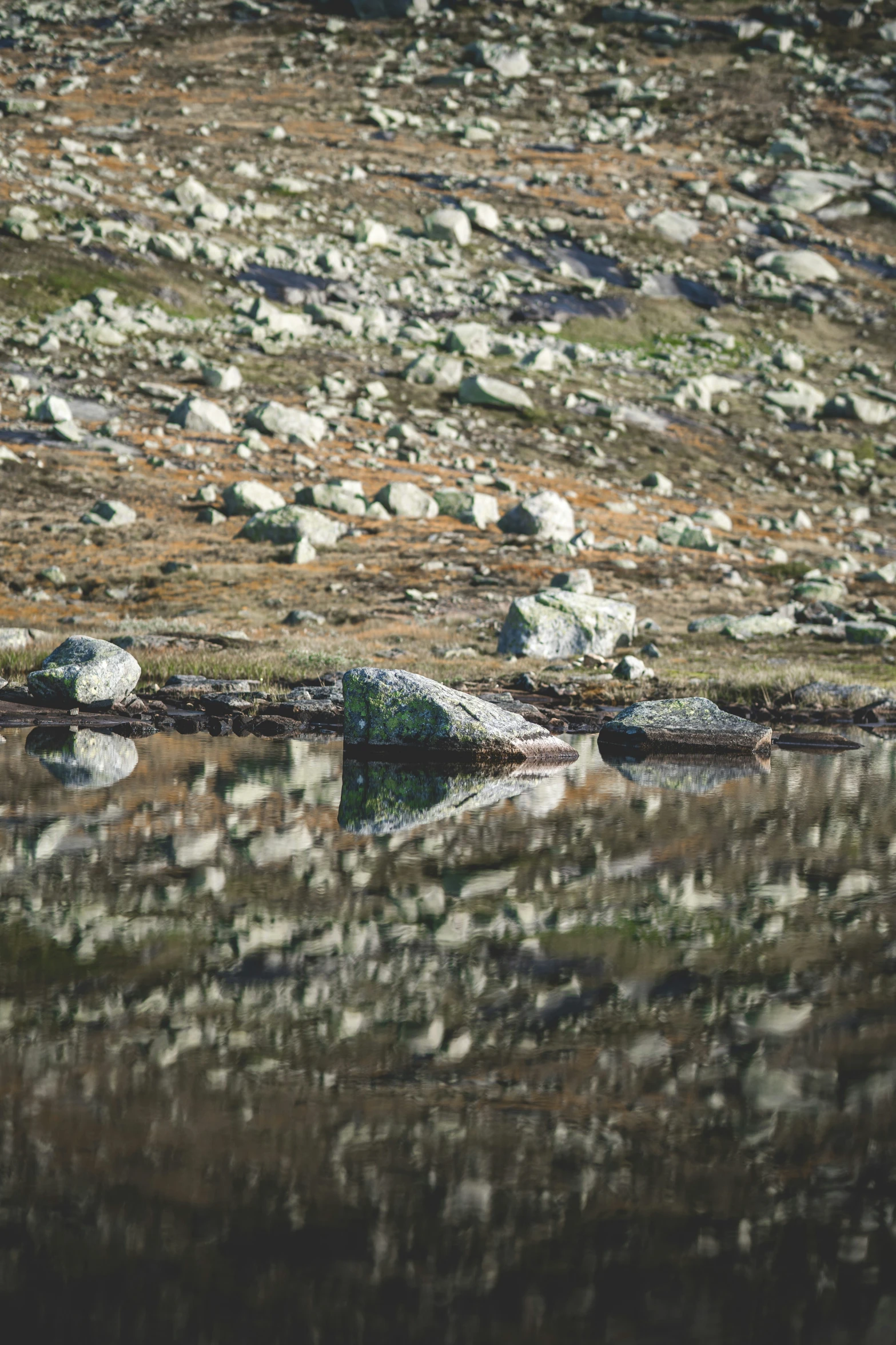 a picture of some rocks and water on the ground