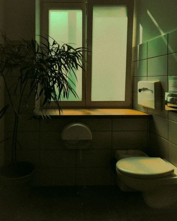 a bathroom with a potted plant next to a window