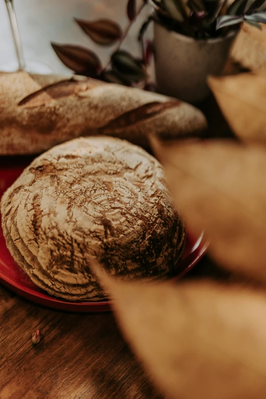 two brown breads sit on a red plate