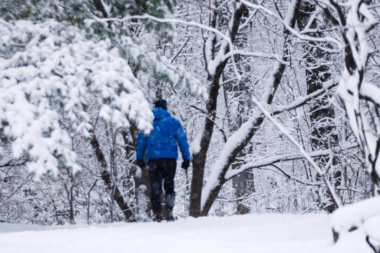 a person in a blue jacket walks through snow