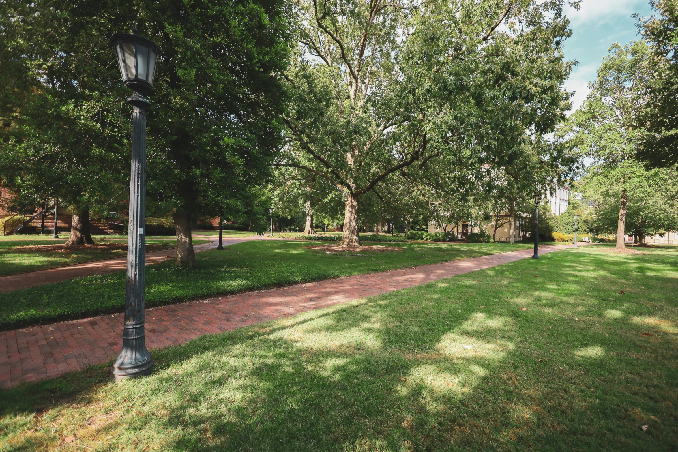 a very nice looking park with some trees