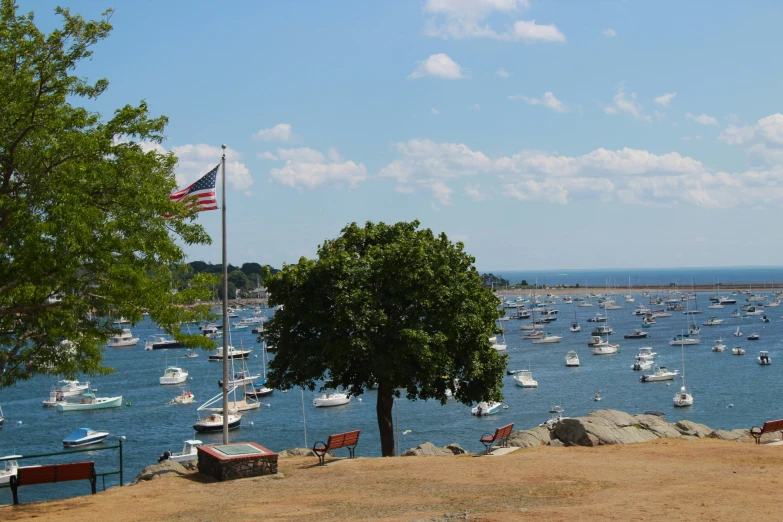 a view of a lake filled with boats with flags