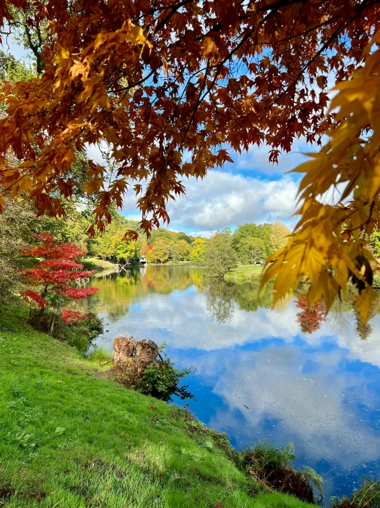 a small lake that is in the middle of a grass field