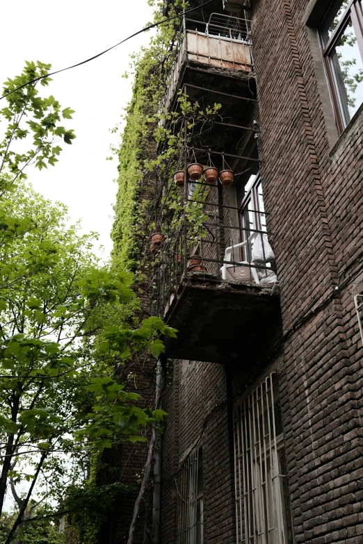 some very tall buildings with lots of windows and plants