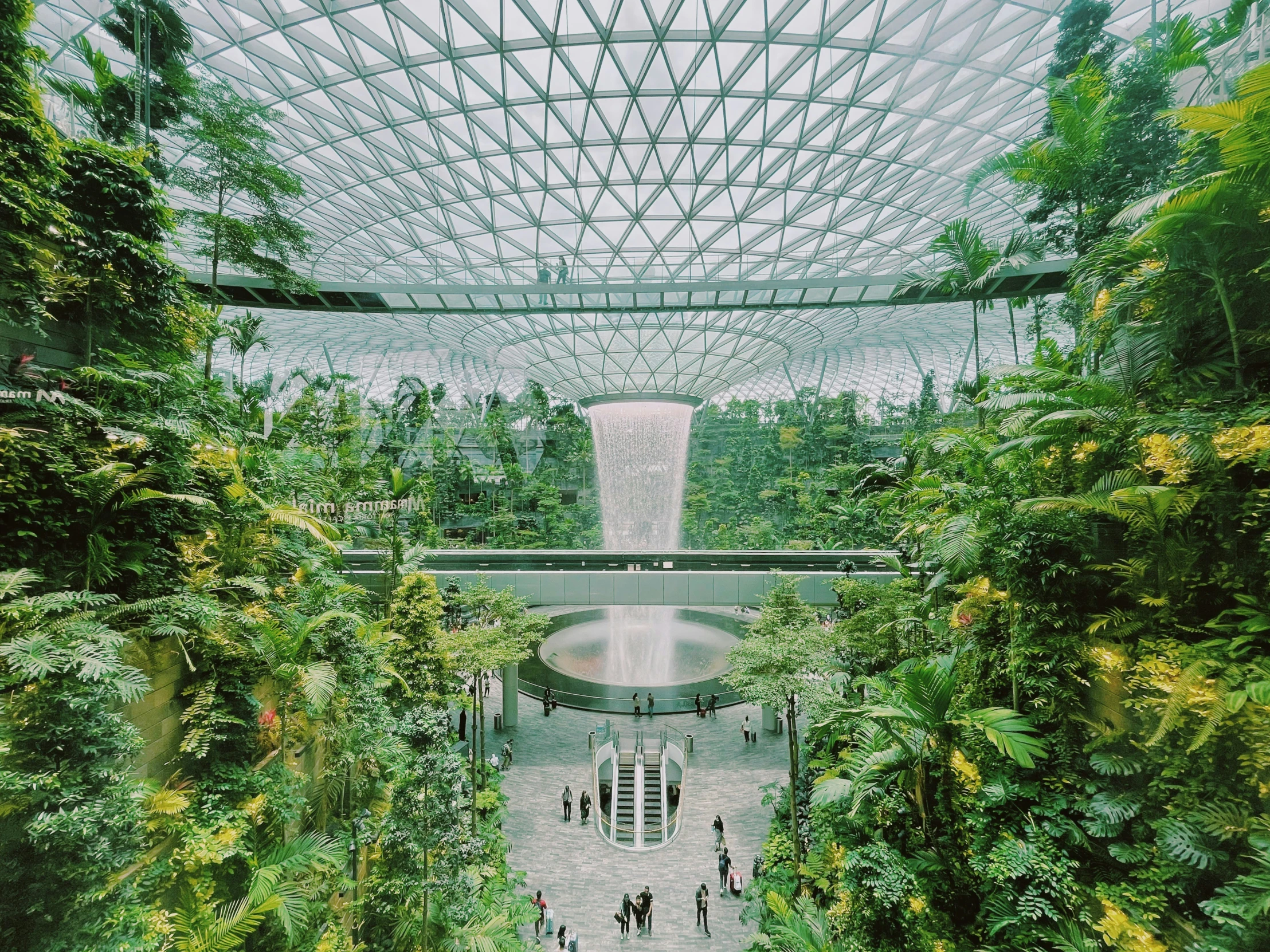 the inside of a building with several plants in the middle