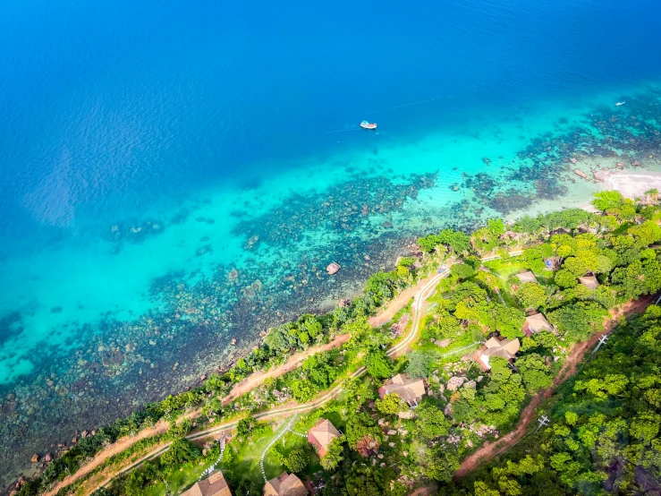 an aerial view of a lush green tropical jungle