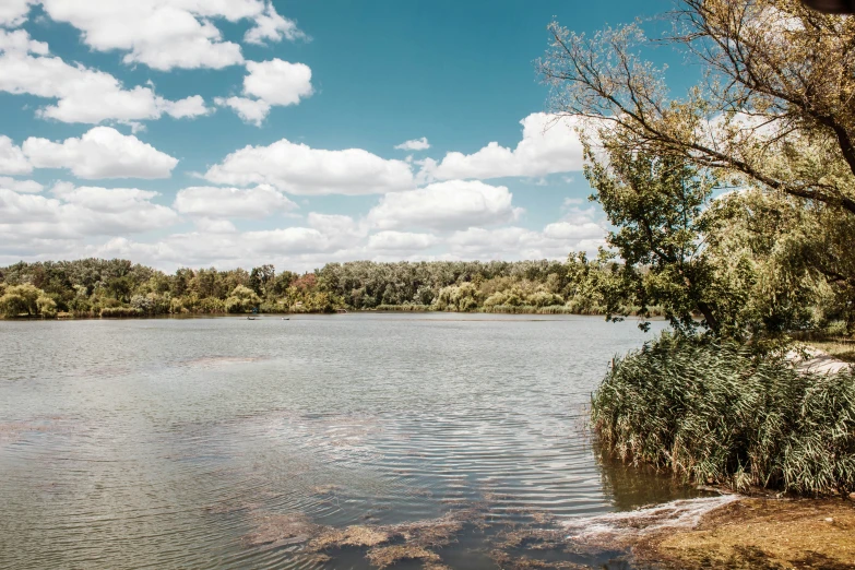 a river with water and trees in the background