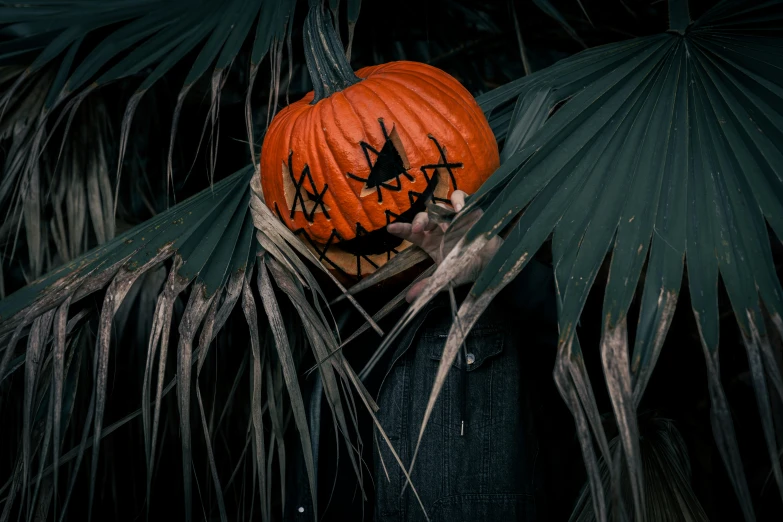 an adult in a black shirt is holding a pumpkin