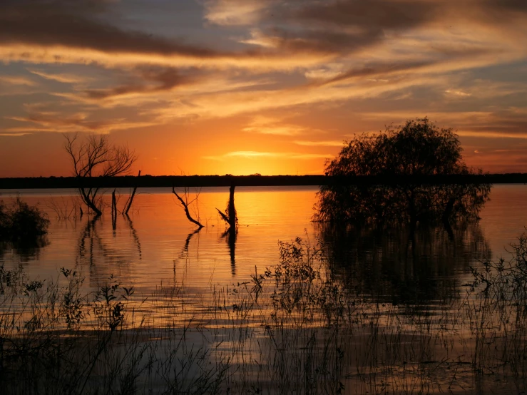 the sun is setting over the water with trees in it