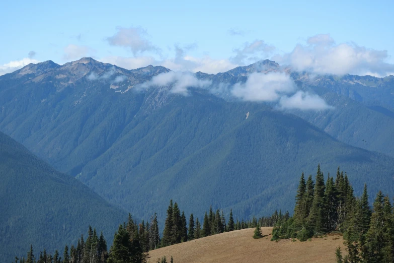 a mountain range that is surrounded by tall trees