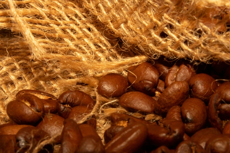 roasted coffee beans next to burlocks and fabric