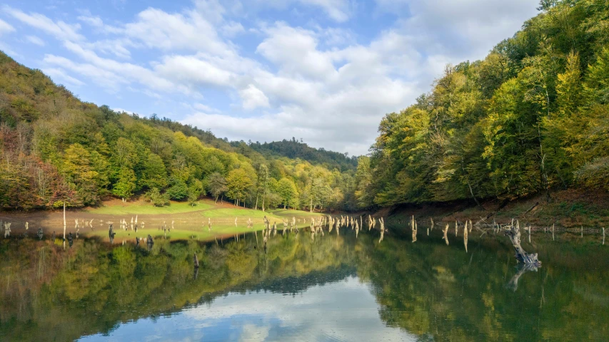 the view from the lake of green grass and trees