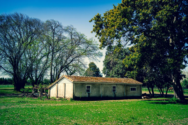 an abandoned house in a field next to trees