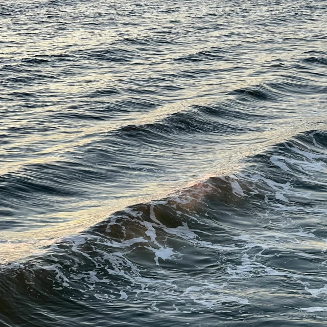 the person is standing on the surfboard in the water