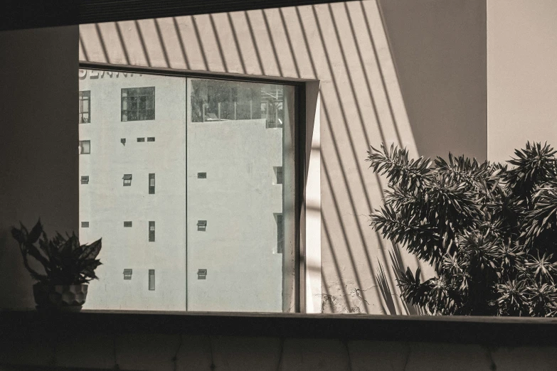 this is the view from inside the building with a plant