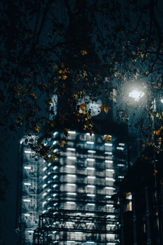 a blurry po of a tall building in the night