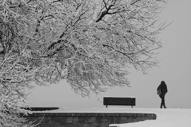 the silhouette of a person stands in front of a snowy tree and park bench