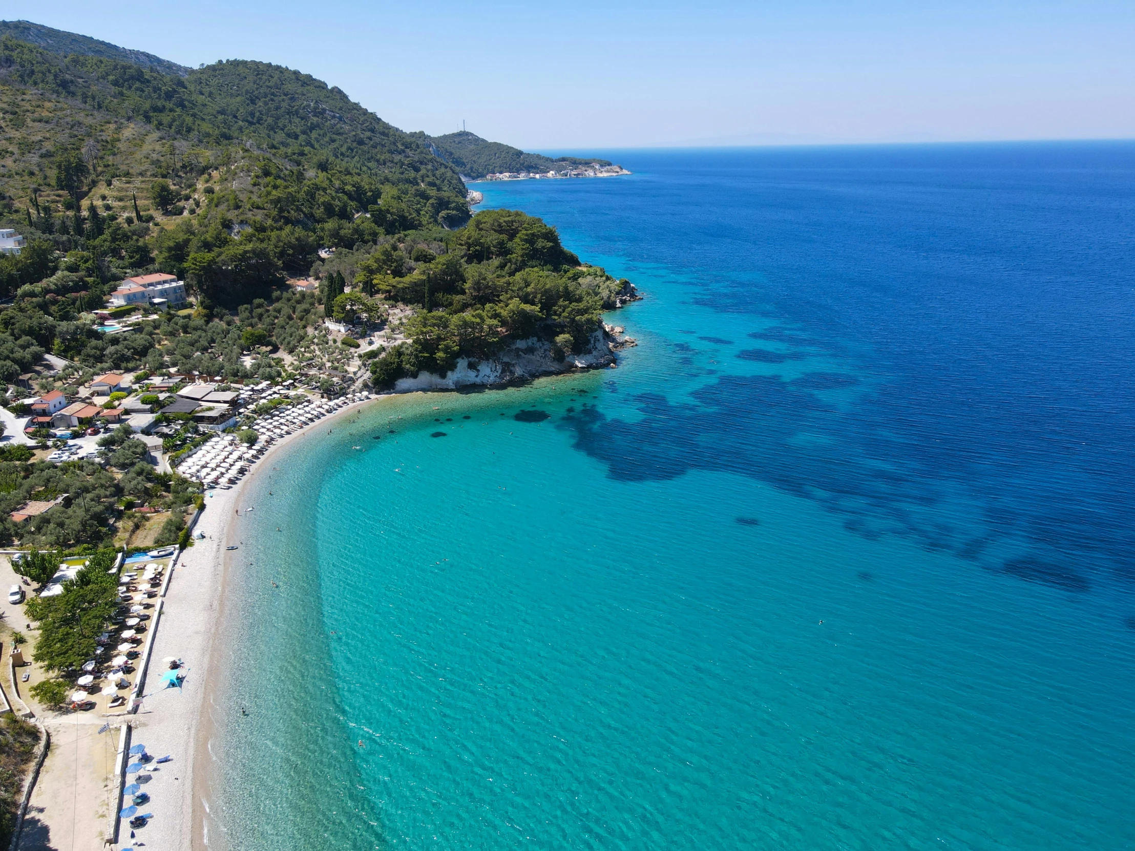 a beautiful beach surrounded by greenery near a forest