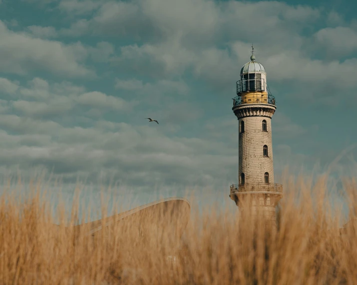 a light tower with a bird flying in the background