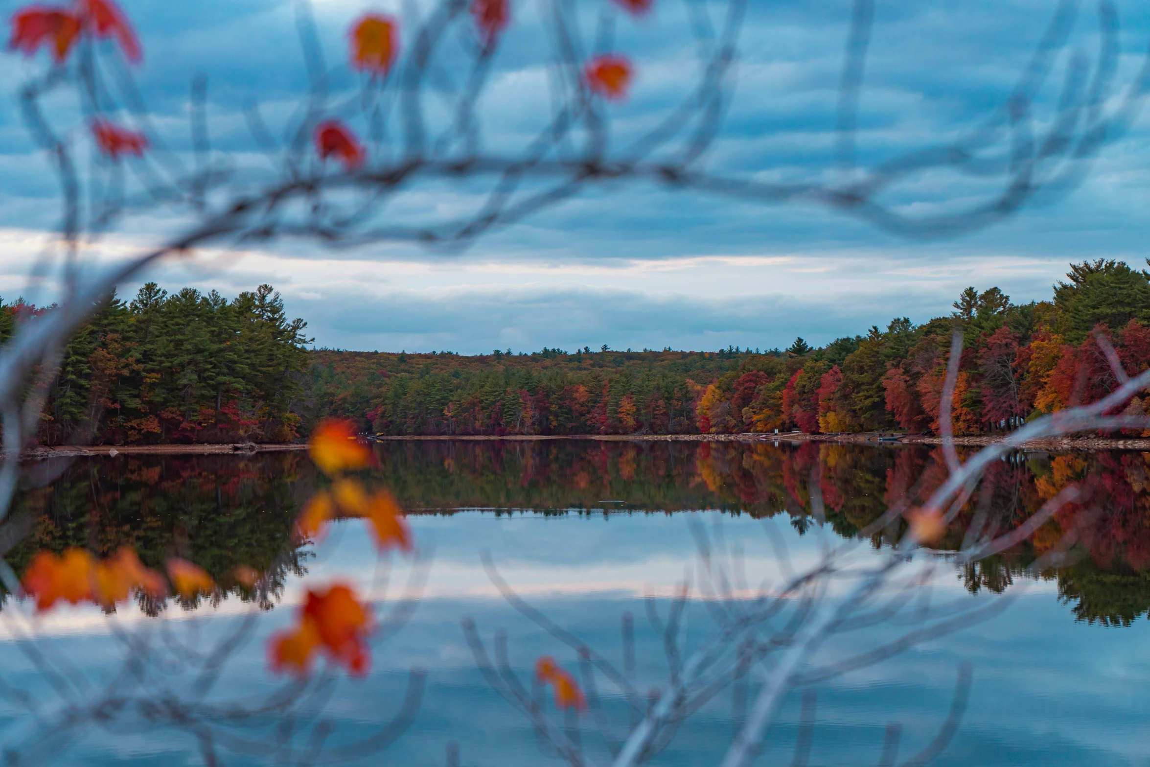 a body of water surrounded by trees and orange leaves