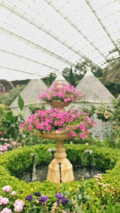 purple flowers are in a vase in a large garden