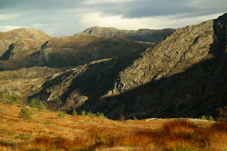 a valley with lots of mountains and brown grass