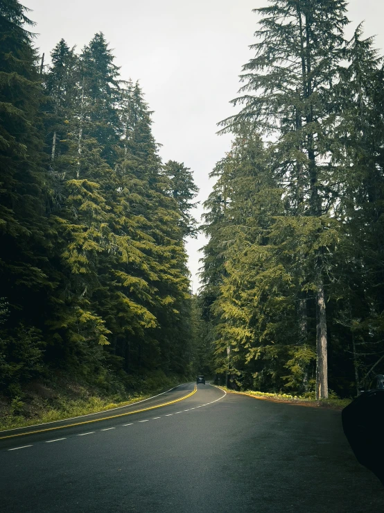 a paved road with several trees near by