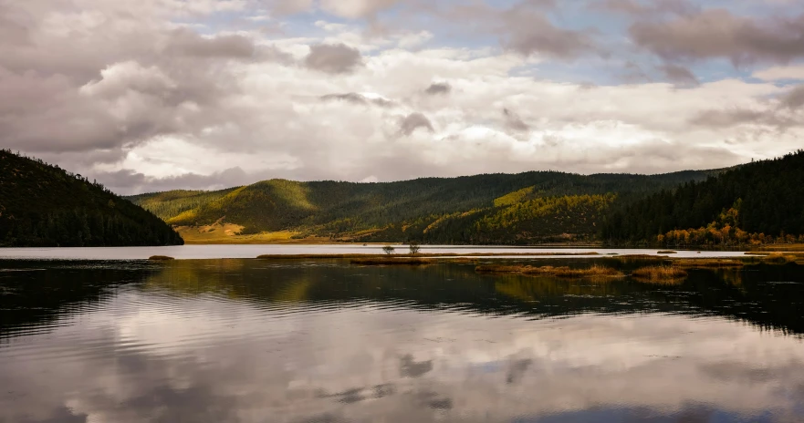 the clouds float in the lake near a wooded area