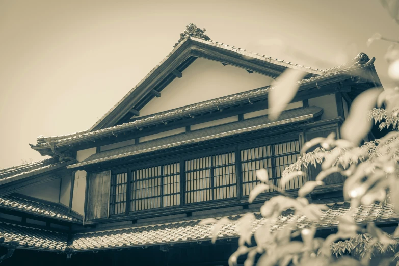 a traditional japanese house, viewed through the nches of a tree