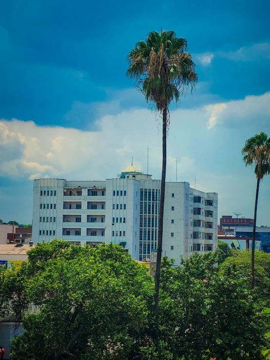 a tall white building sitting next to a large tree