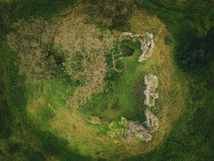 an aerial s of a grassy field containing trees and ruins