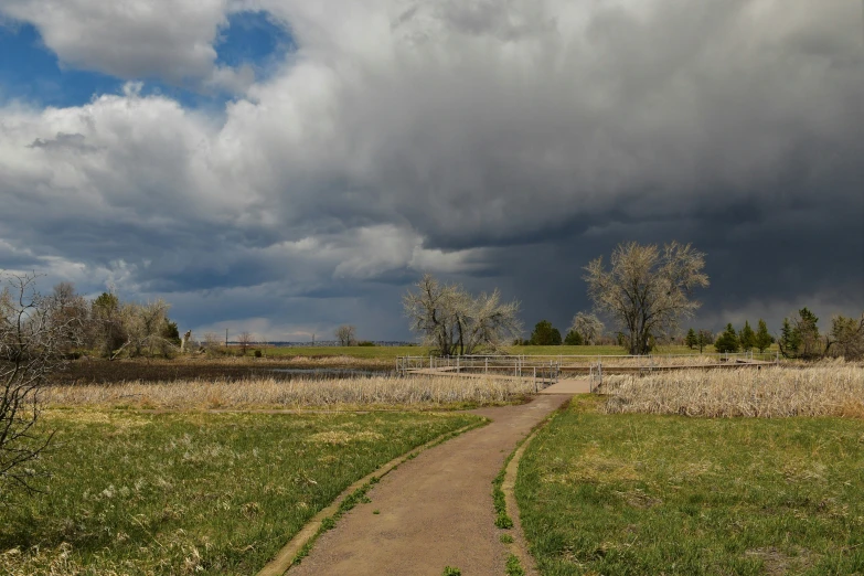 a walkway leading through a field towards a lake and a bench