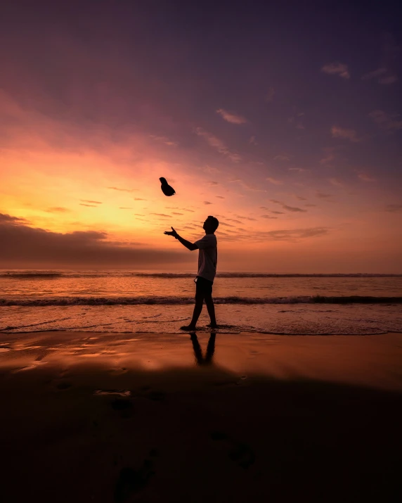 the silhouette of a person on a beach with a bird in hand