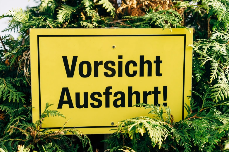 a german traffic sign sitting between some lush plants