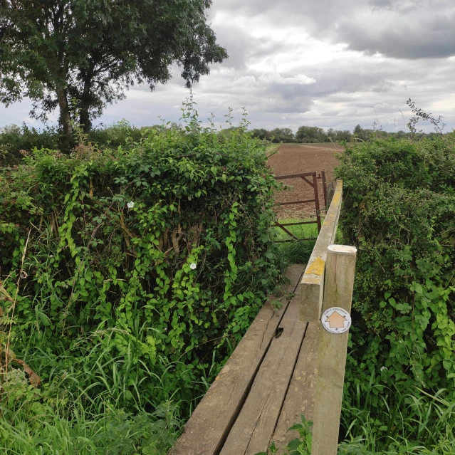 a wooden plank bridge crosses over a field