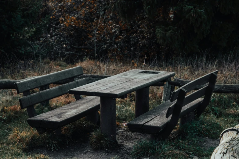 a wooden picnic table and benches in an overgrown field