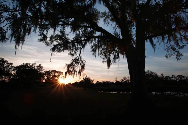 a sunset that is over a field with trees